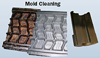 Mold Cleaning